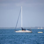 2002年开奖结果完整历史数据查询与回顾 2lxzcl1