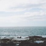 2004167期福彩双色球开奖号码正式公布 650ffck4k