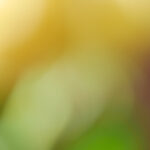 3D开奖号518前后走势分析及预测 67h9vcx80