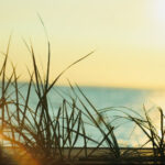 3d开奖号5000期完整历史开奖号码汇总查询 9brg3552