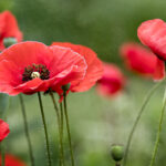 2004年福彩3D开奖结果及历史数据全记录 ax92a