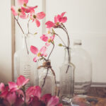 3D开奖号663开奖视频全程高清记录 bq69sw7ze