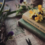 2004年双色球全年开奖结果历史数据汇总 cm0a6jr