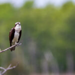 2002年全年完整开奖记录详细汇总 dj73p8txq