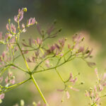 2004年中国福利彩票开奖结果完整回顾 g6pxura