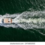 2001年双色球开奖结果历史查询与回顾 j8uyrz