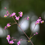 2002年中国足球彩票开奖结果全记录 kgj2ta82