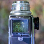 20043d开奖结果走势图最新数据分析与预测 mk5ba8w