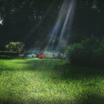 20052期开奖结果揭晓:幸运号码正式公布 oka9mgn