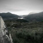 3D开奖号901历史开奖结果查询与走势分析 pz6y5