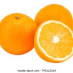 2001年开奖结果大全完整版历史数据汇总查询 t5k898d7