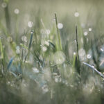 2003年全年彩票开奖记录完整回顾 ugdo3