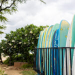 2002年全年彩票开奖结果完整回顾 v6i9o