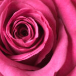 20046期中国体育彩票开奖结果最新公布 z7d7gu